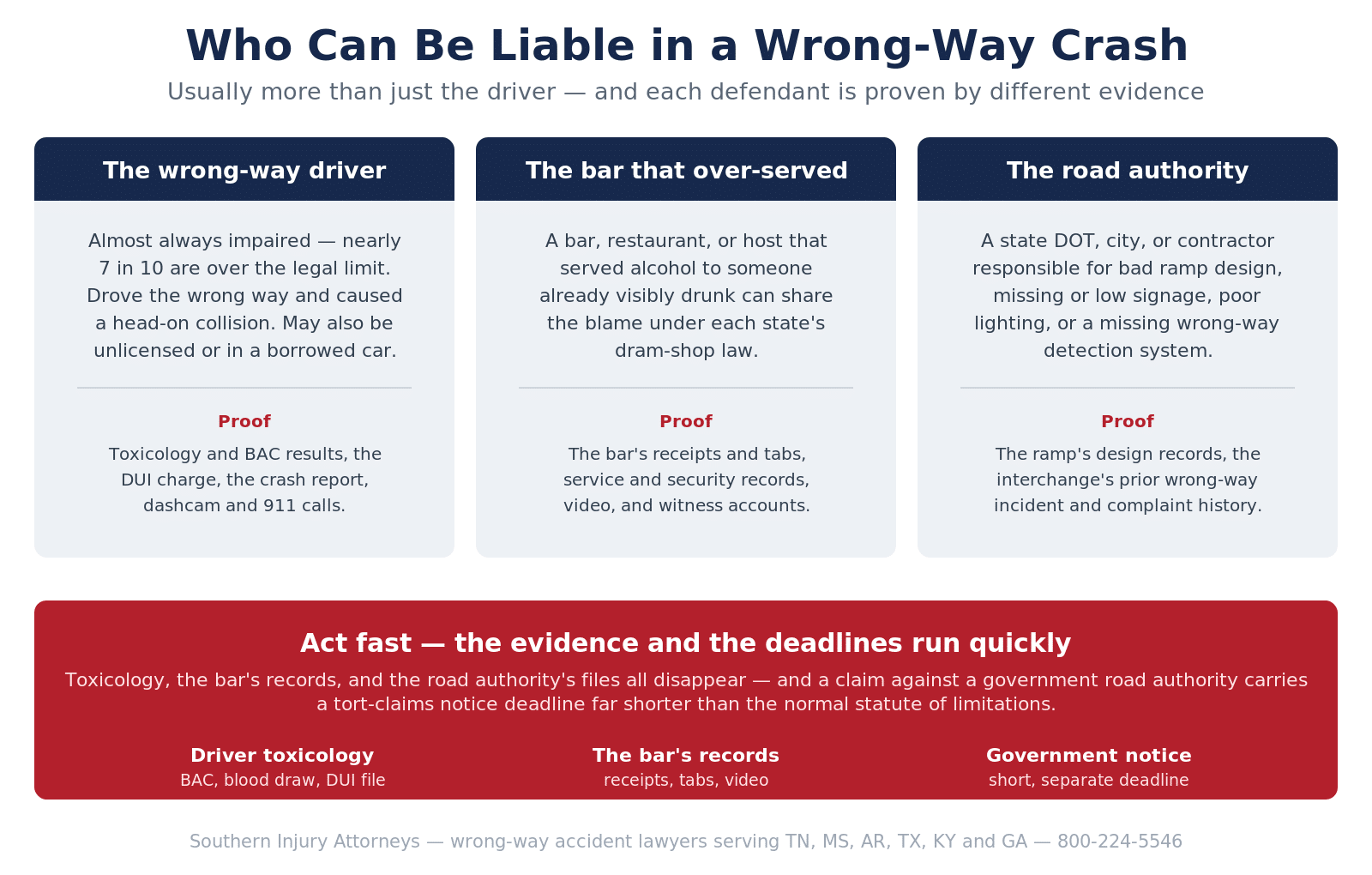 Infographic showing who can be liable in a wrong-way crash — the wrong-way (usually impaired) driver, the bar or restaurant that over-served them under dram-shop law, and the road authority responsible for ramp design, signage, lighting, or a missing wrong-way detection system — and the evidence that proves each, including toxicology, the bar's receipts and records, and the ramp's design and prior-incident history.